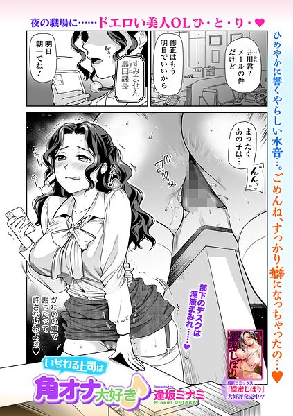 B164aisis06075pl