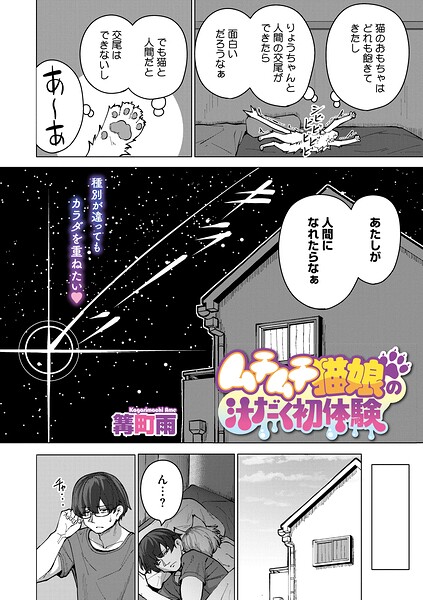 S011akamj02877pl